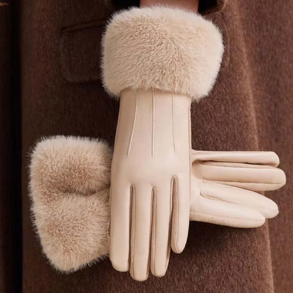 Guanti in Pelle da Donna con F - Winter Glove Insulated recensione e prezzo